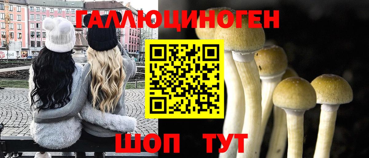 Гурьевск  Галлюциногенные грибы Psilocybine cubensis  Вход с VPN 